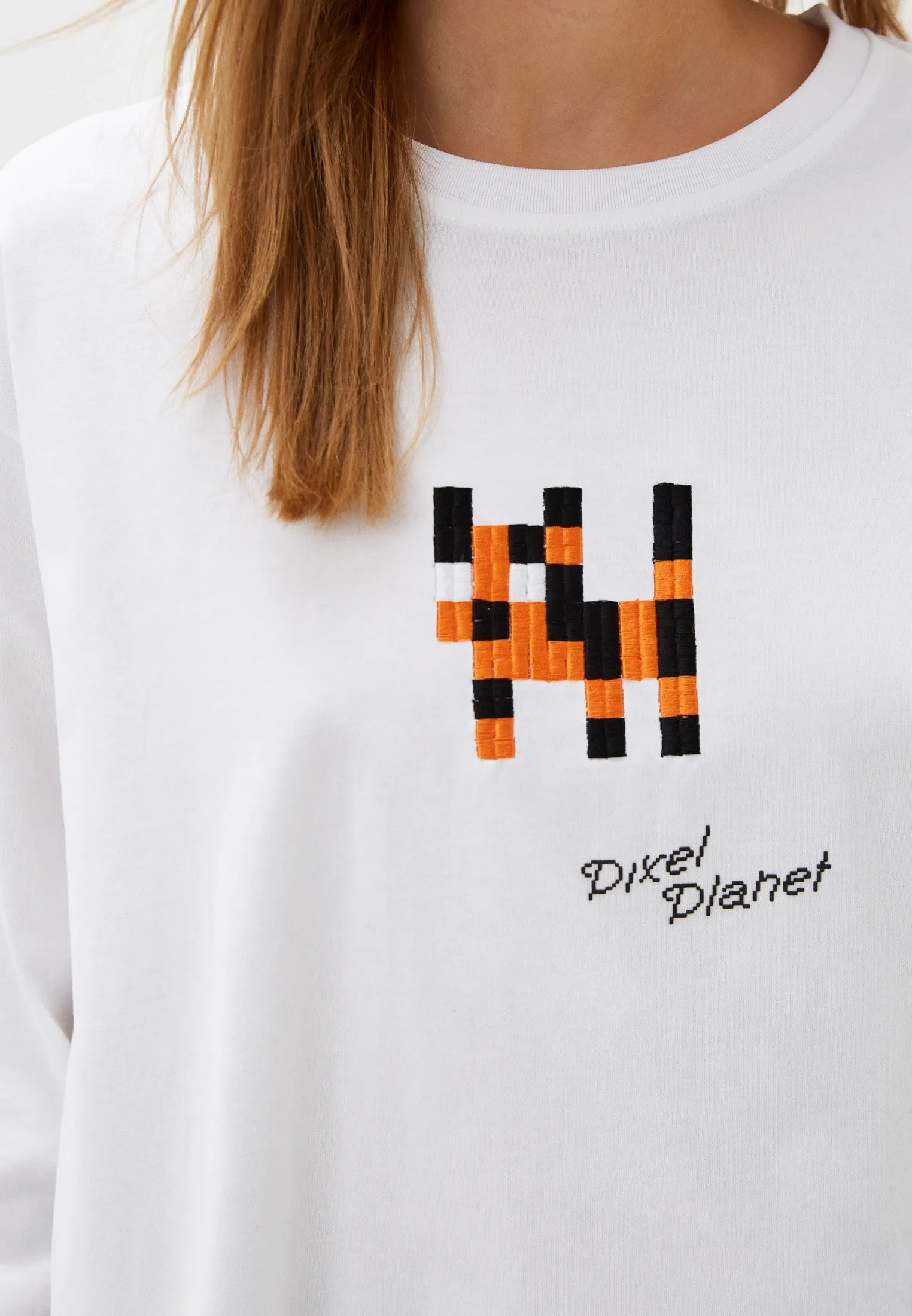 Лонгслив Pixel Planet – купить в интернет-магазине UrbanTiger